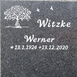 Kolumbariumplatte mit einem Baum mit 2 Vögeln und Inschrift Kolumbariumplatte mit geschwungener Schrift und Baum mit 2 Vögeln
